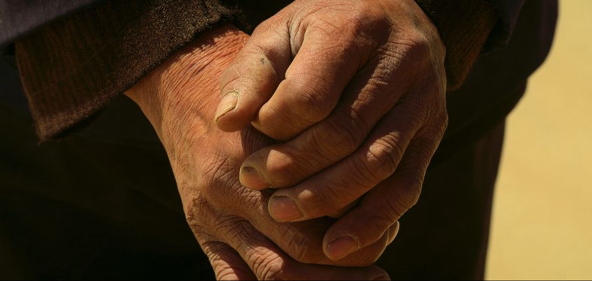 正式發(fā)布！《攜手，為人民》中國共產(chǎn)黨與世界政黨領導人峰會暖場片