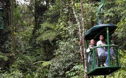 關注環境：哥斯達黎加 綠色國度生態游(組圖)